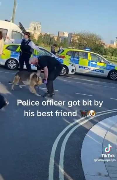 K9 turns and latches onto his police officer partner&rsquo;s knee