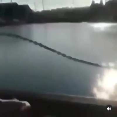Trying to run into the water