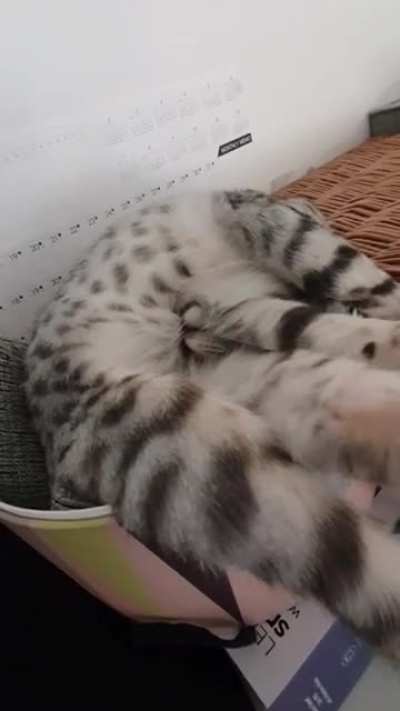 I think shes broken