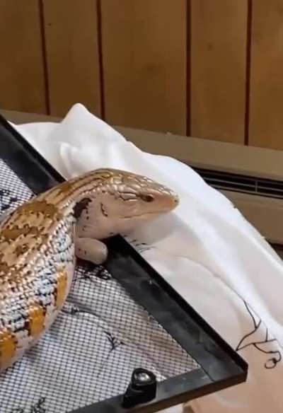 Оба выглядят странно