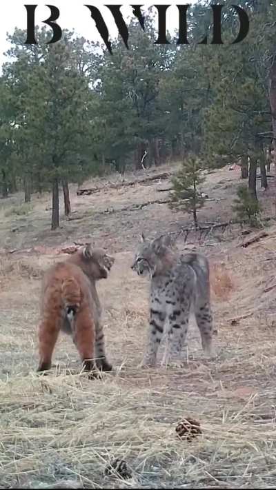 Maybe maybe maybe