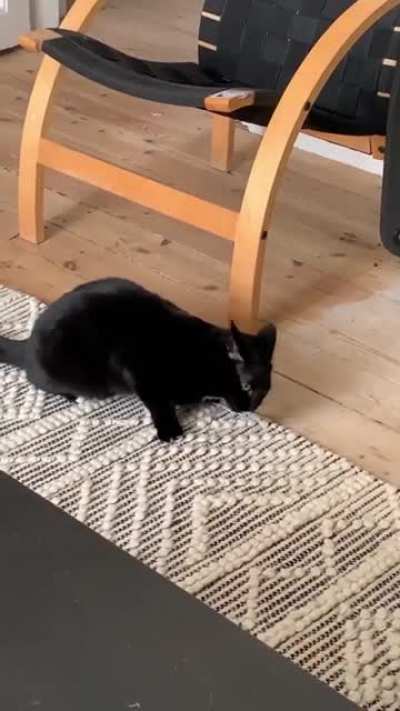 &lrm;Wut iz dat?