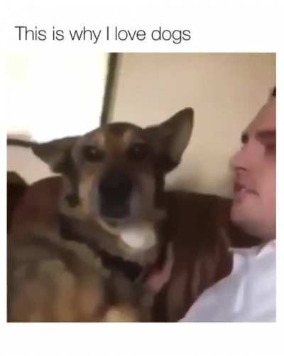 This is why I love dogs