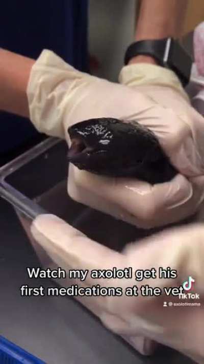 If you didn&rsquo;t notice, he HATED it