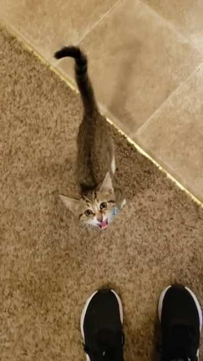 He was hungry