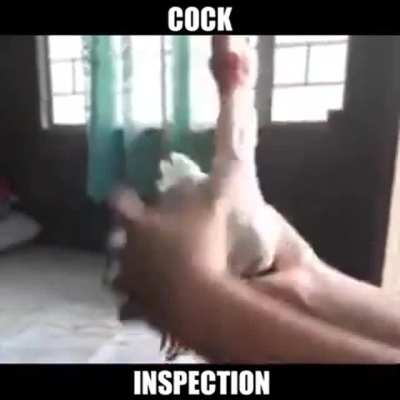 Rate my cock