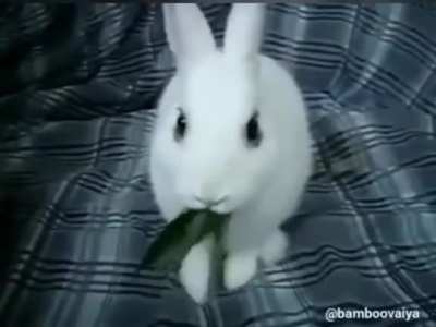 Ummm