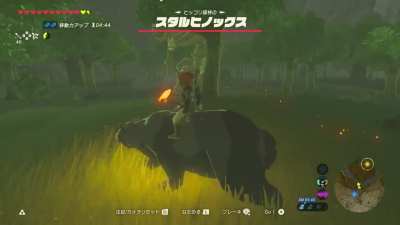 Animal Torch Relay