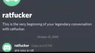 Rat