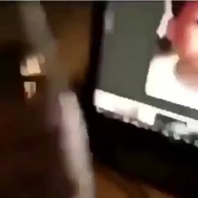 ...
