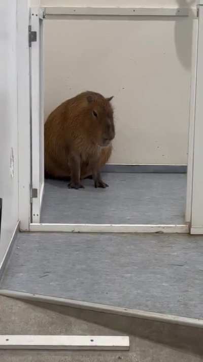 Me at the party like