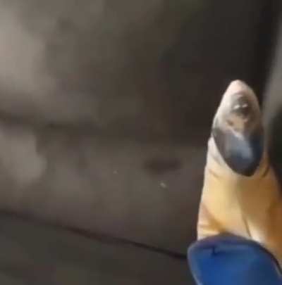 🧐