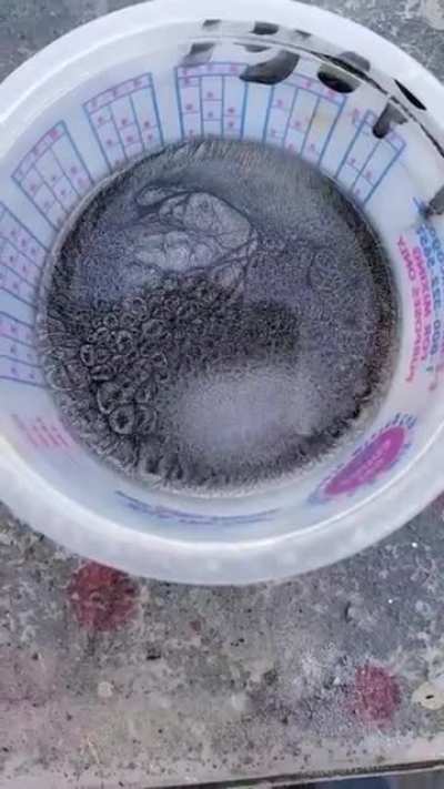 This reaction of lacquer thinner mixed with metal flake paint in a small cup