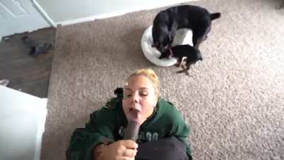 While the dogs right there😂