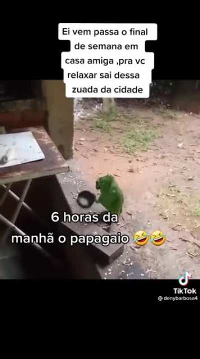 Super tranquilo
