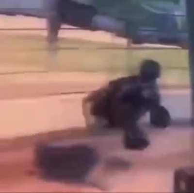 &ldquo;Meant to do that!&rdquo;