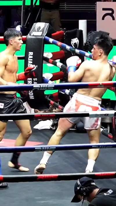Brutal Sharp Elbow Knockout 