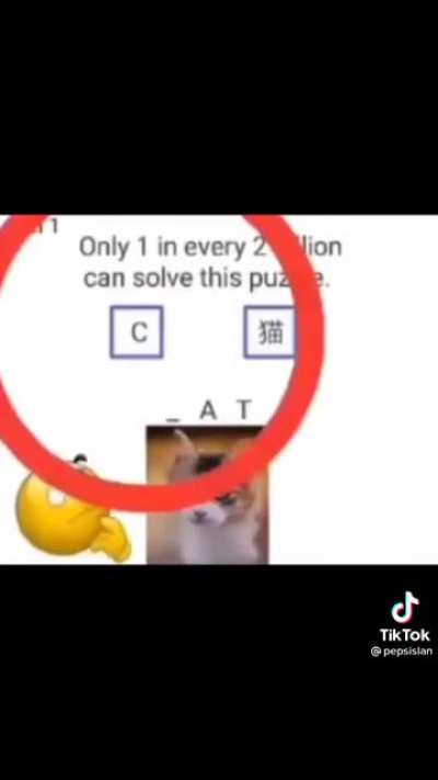 &Ouml;