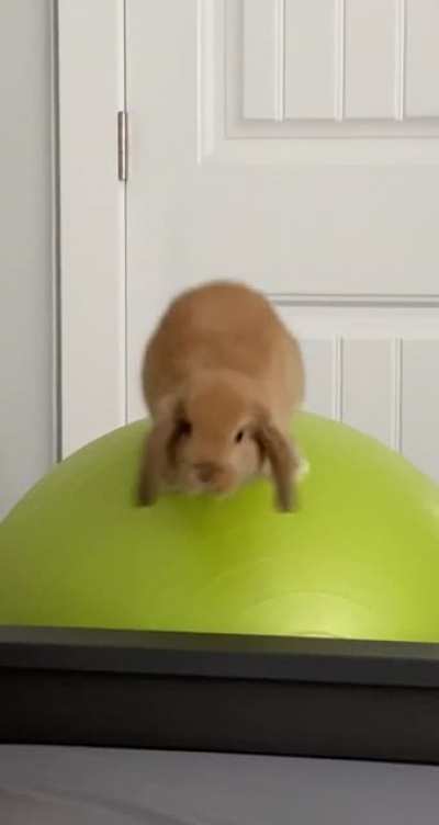Ozzie defies physics