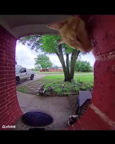 Someone&rsquo;s at the door