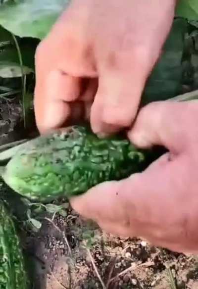 Hmm