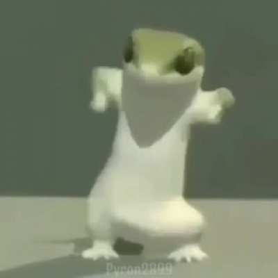 indonesian lizard