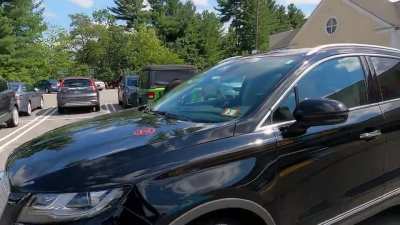 Parking lot shopping cart freakout in New Hampshire
