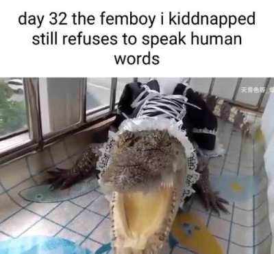 I think something is wrong with my Femboy