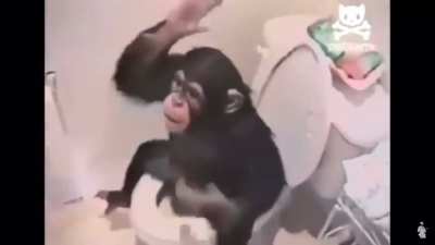 Mono