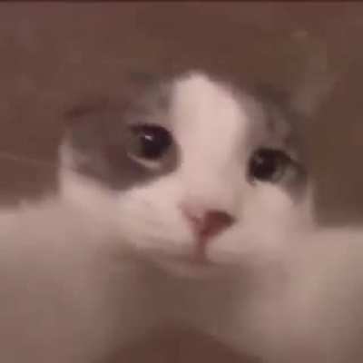 &amp;lt;3
