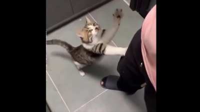 &ccedil;ok g&uuml;zel şaplatıyor la