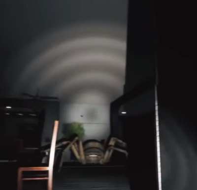 Spiders are creepy