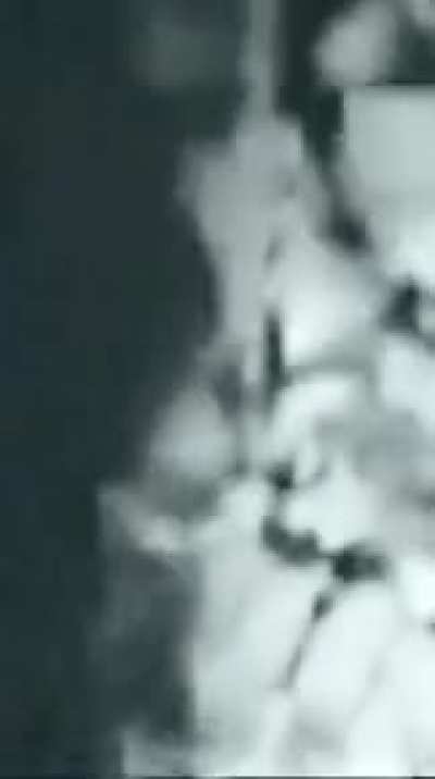 Do you see him? Hello Grey Alien! Seen in forest at night &amp; clearly visible 8 to 10 feet tall - Analysis required 👽