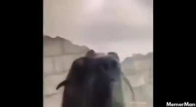 😬