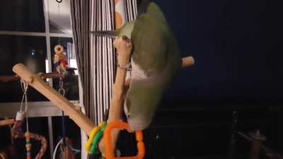 Ring toss
