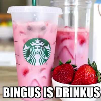 FINALLY!!!!!!!!!!!!!!! IT HAS BEEN DONE!!!!!!!! BINGUS IS NO MORE!!!!!!!!!!!