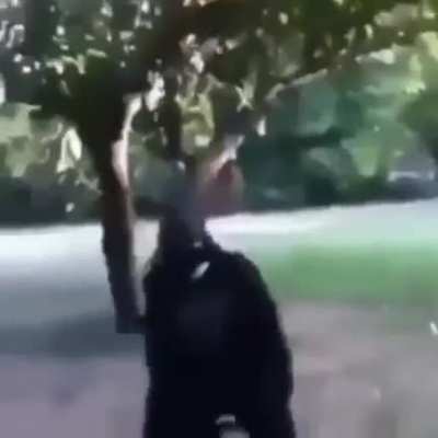 Mono