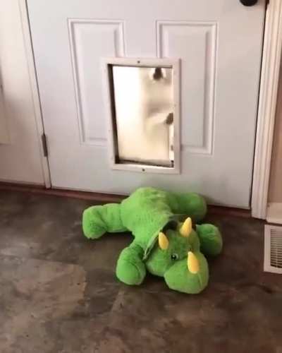Let Escape!