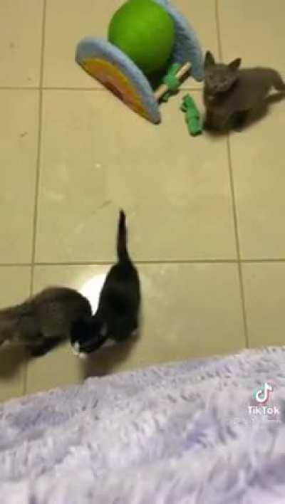 Found on Tik tok.