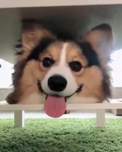 A contagious smile.