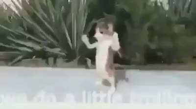 Here