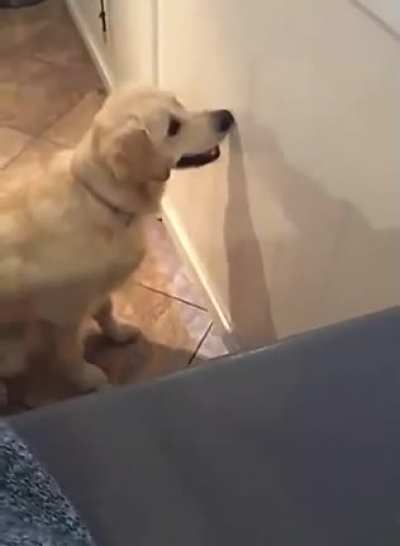 From u/dlecontfghgfh | Good thing he&rsquo;s cute.