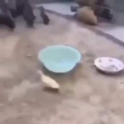 Mis compañeros cuando se enteraron que me la jale en el baño de la escuela 😔