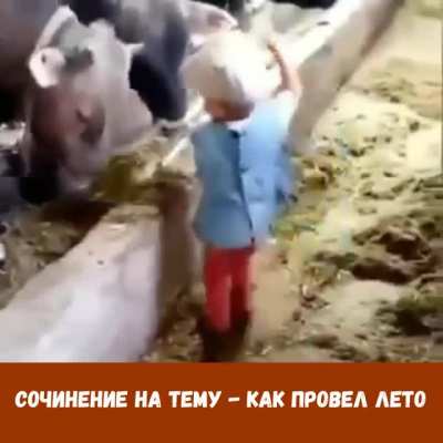 Как ломали быкам - рога. Сочинение на тему - как провел лето