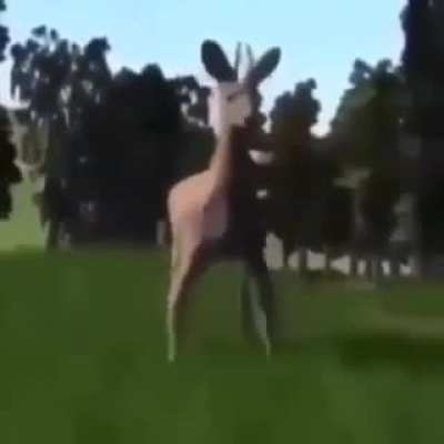 Bruh
