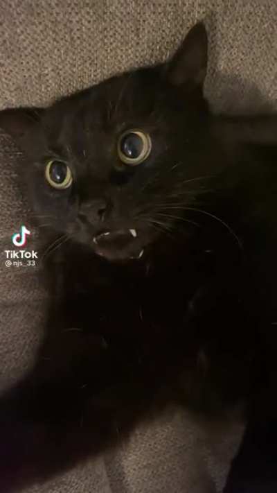 Wait for it...