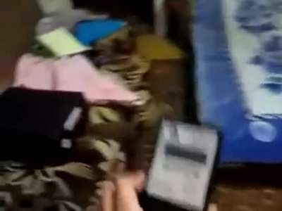 La pc del futuro
