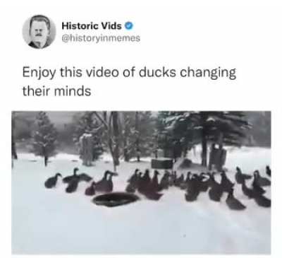 Found this on discord and thought it belonged here