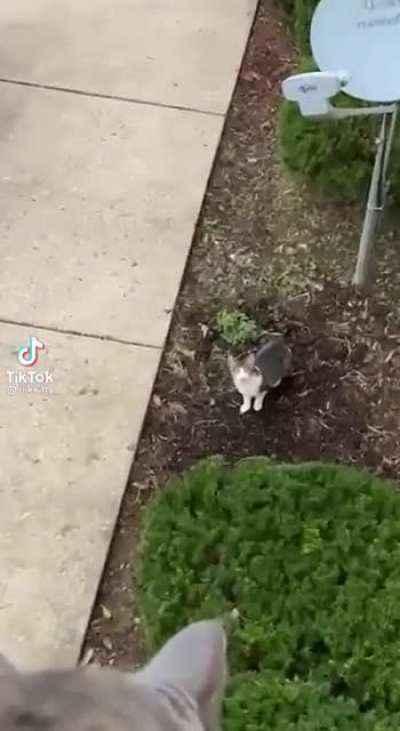 Wtf was he thinking