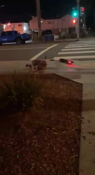 WCGW if i don’t use the curb ramp